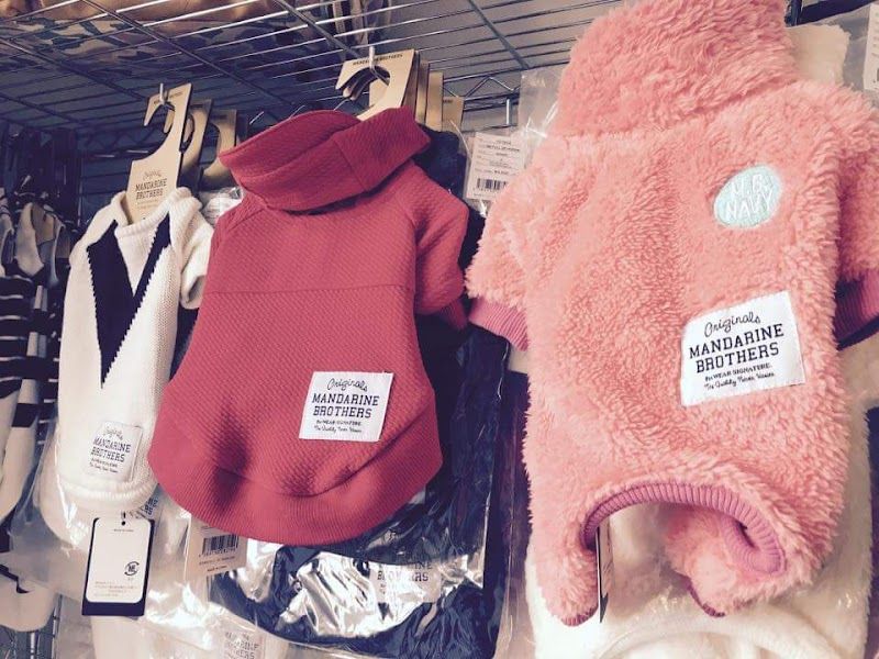フロムエース本店の写真 1
